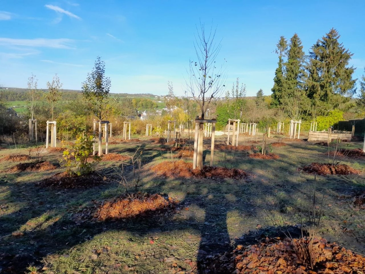 Waldgarten auf zwei Ebenen Kloster Arenberg Koblenz