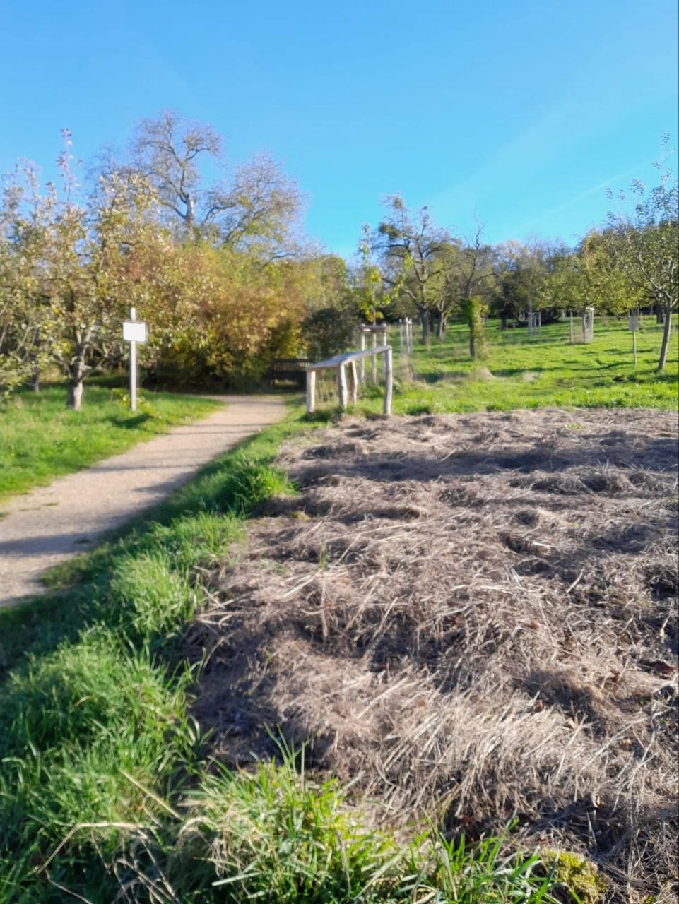 Heubeet aus Streuobstwiesen-Mahd Kloster Arenberg Koblenz