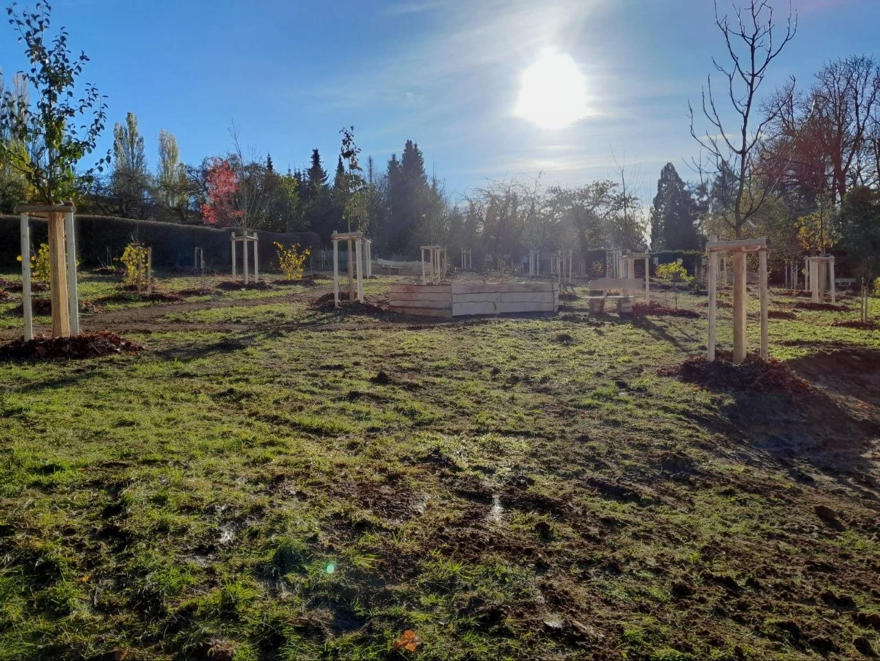 Waldgarten mit Hochbeet und Sitzbank Kloster Arenberg Koblenz