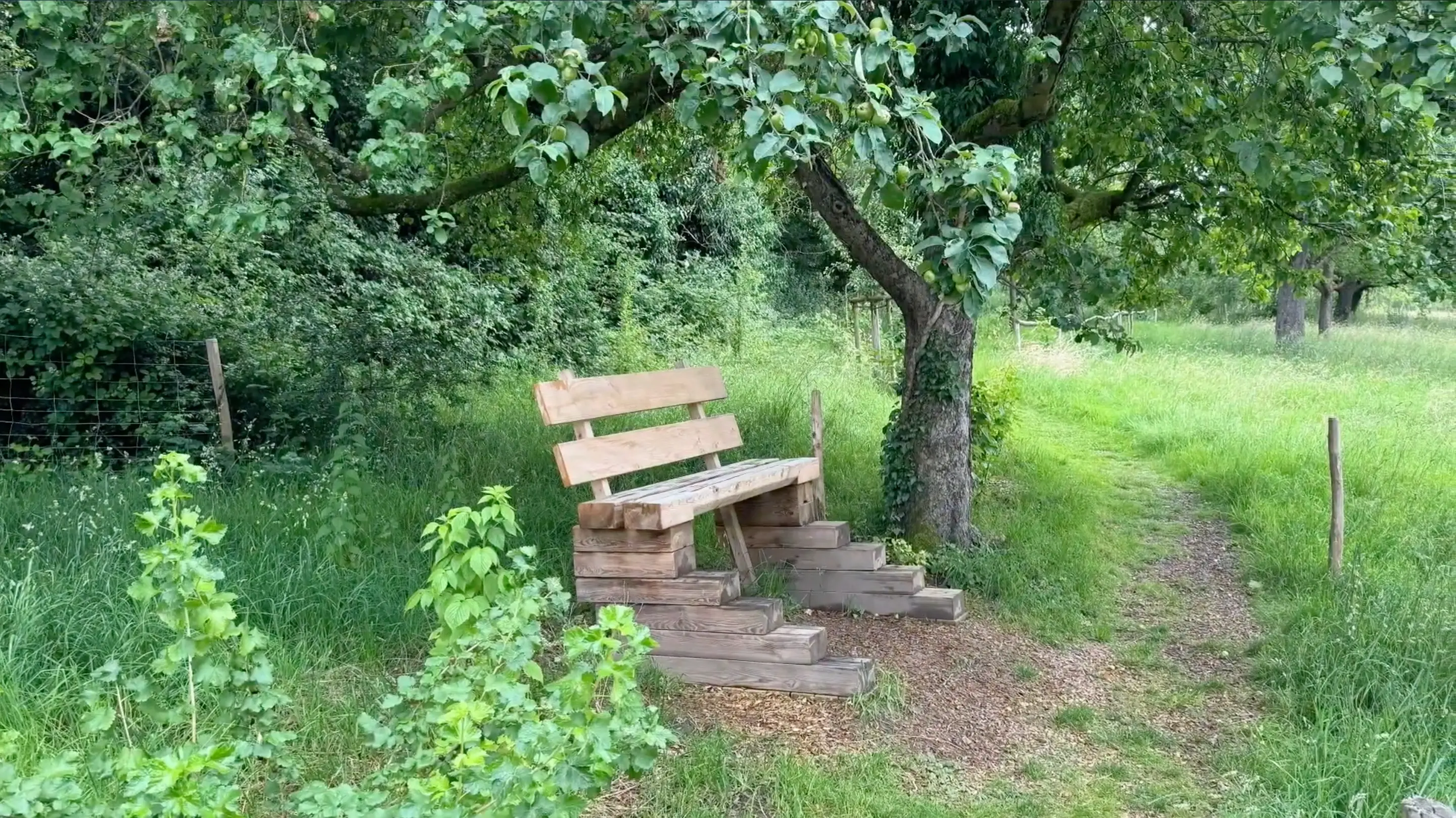 Beine-Baumel-Bank aus Eiche Kloster Arenberg Koblenz